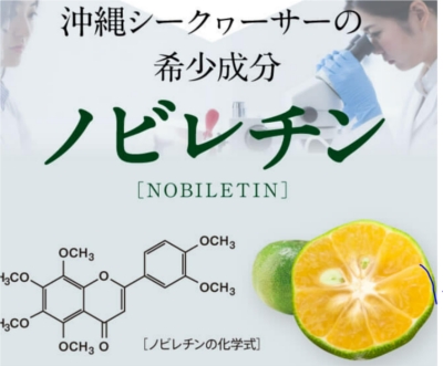 IKKOさんもオススメ!【青切りシークヮーサー100プレミアム 】販売サイトへ